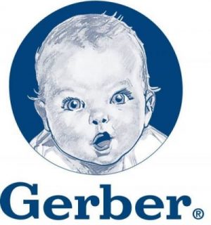 Life Insurance Gerber, Guaranteed Life Insurance for Seniors. guaranteed issue life insurance, life insurance for adults